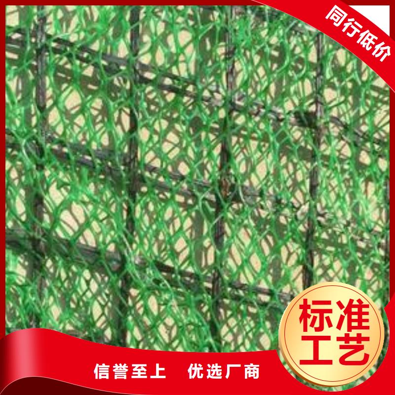 三维植被网长丝土工布优选好材铸造好品质当地品牌