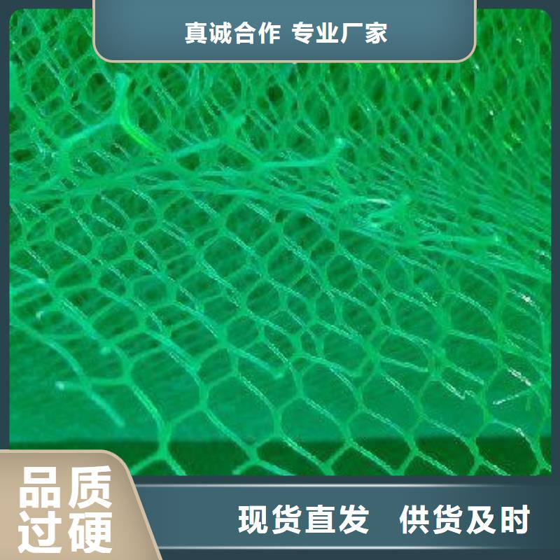 保亭县三维植被网加筋土工网垫EM5植被网护坡加筋每个细节都严格把关