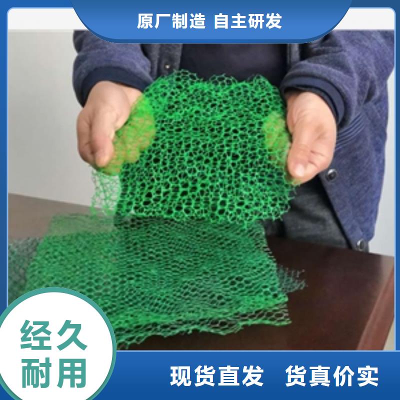 绿色三维网生产三维植被网生产质量检测