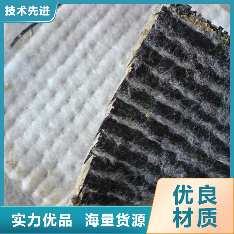 膨润土防水毯三维复合排水网讲信誉保质量重信誉厂家