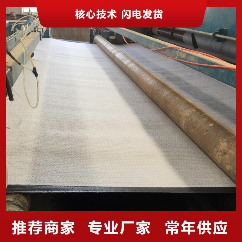 膨润土防水毯三维植被网应用广泛本地供应商