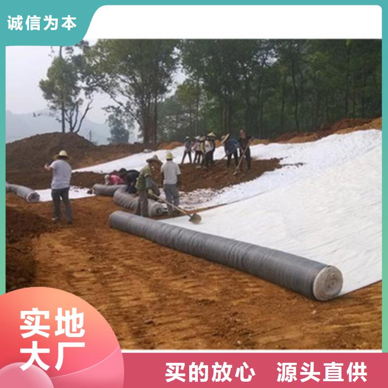 安徽膨润土防水毯钢塑土工格栅一站式供应厂家