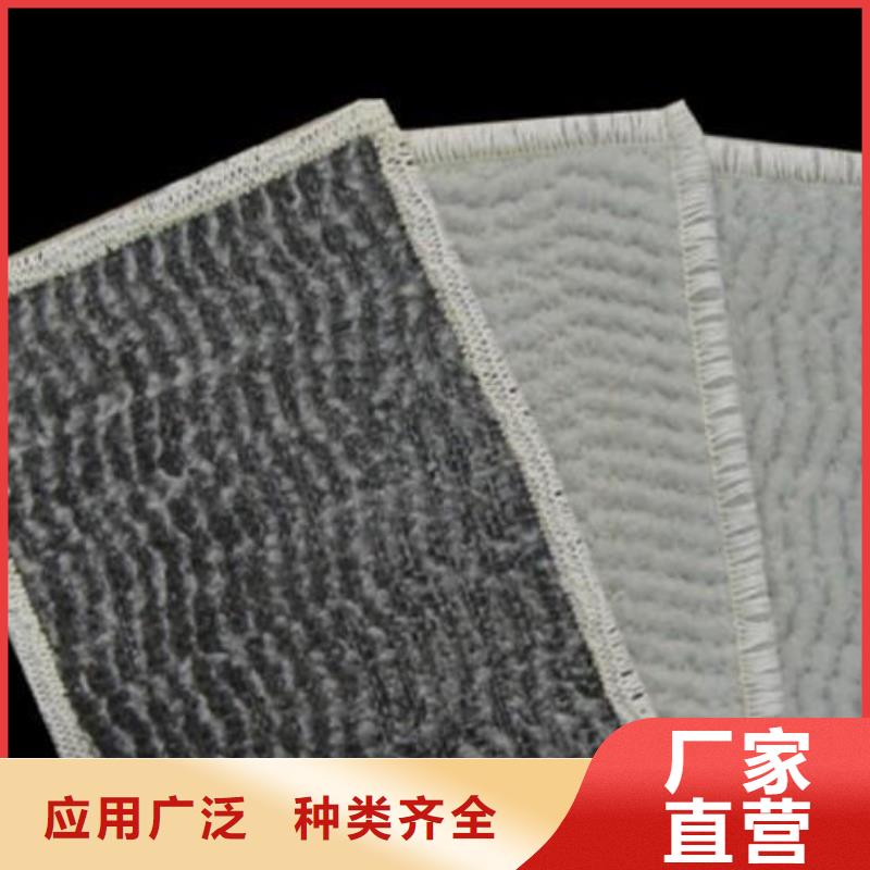 膨润土防水毯三维土工网垫为品质而生产附近公司