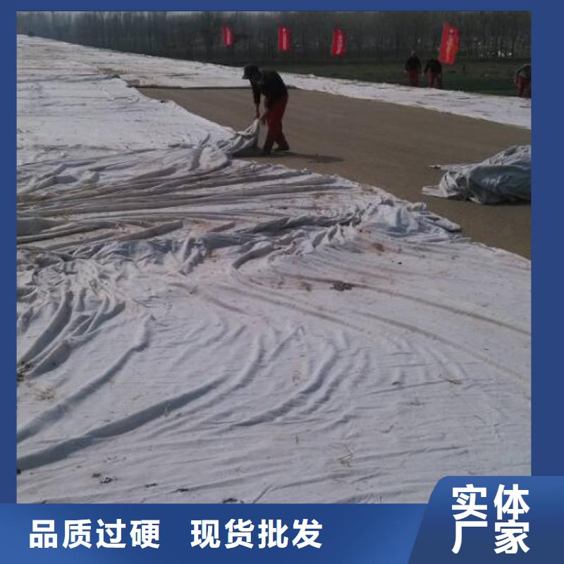 重庆土工布 三维水土保护毯客户信赖的厂家