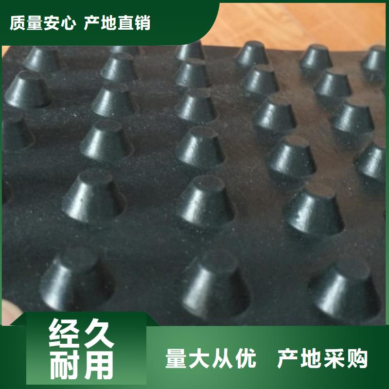 广东塑料排水板钢塑土工格栅厂家一站式厂家