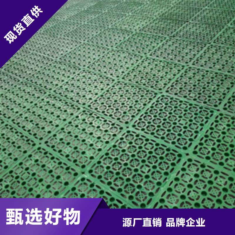 塑料排水板HDPE土工膜优良工艺优选厂商