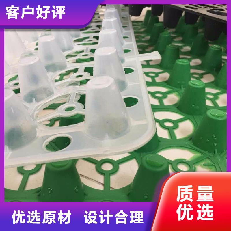 塑料排水板-【土工布批发】品质优良工期短发货快