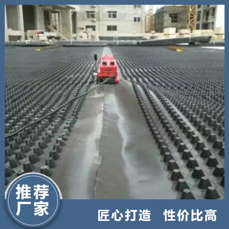 【塑料排水板】钢塑土工格栅厂家常年供应批发供应