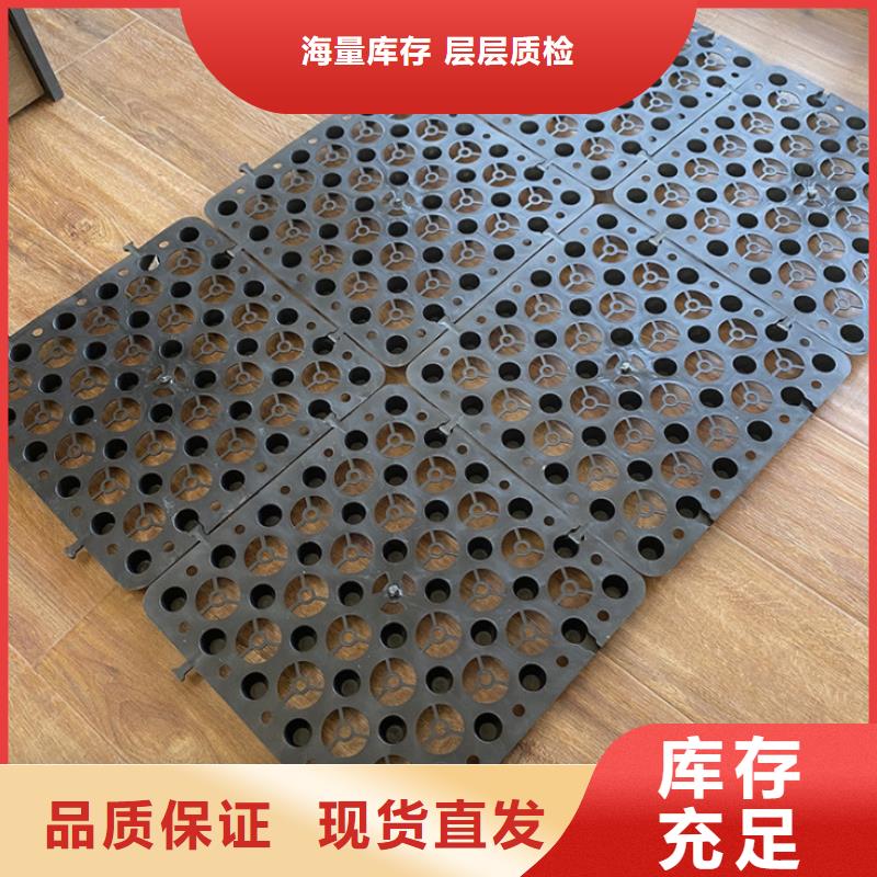 塑料排水板聚丙烯双拉土工格栅品质有保障品质优选