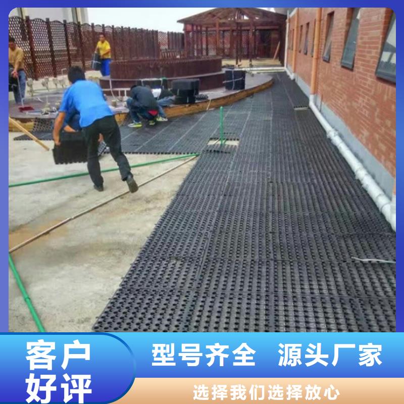 上海【塑料排水板】三维植被网厂家厂家拥有先进的设备