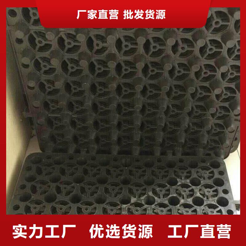 天津塑料排水板三维植被网厂家多年行业积累