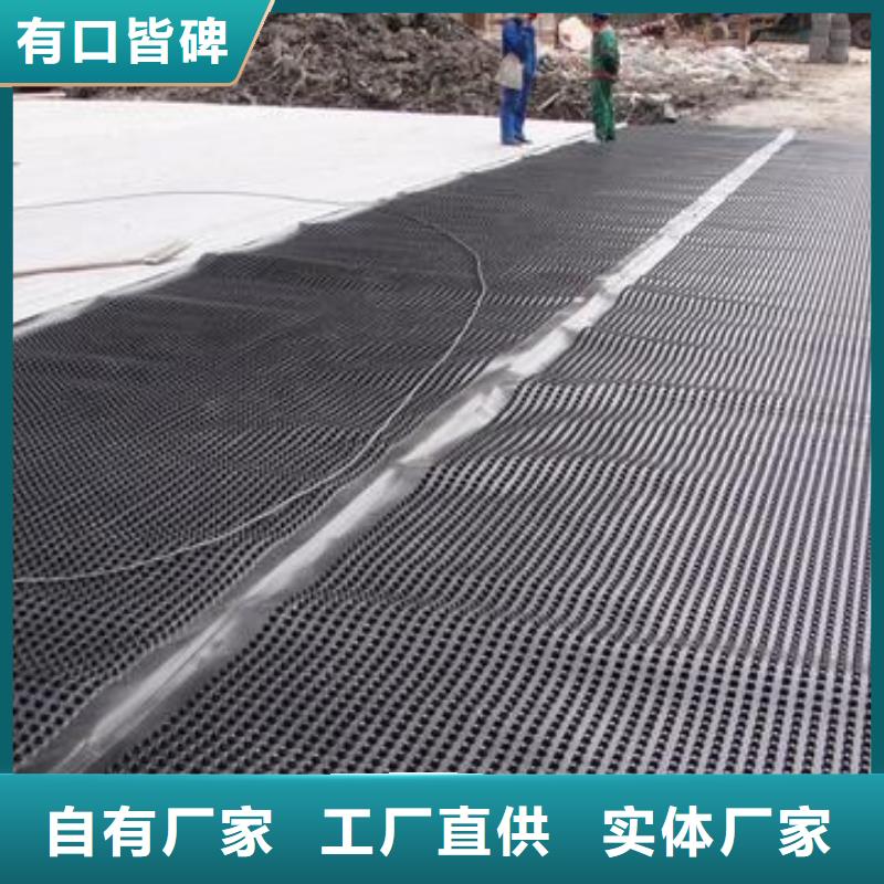安徽塑料排水板三维水土保护毯货源稳定