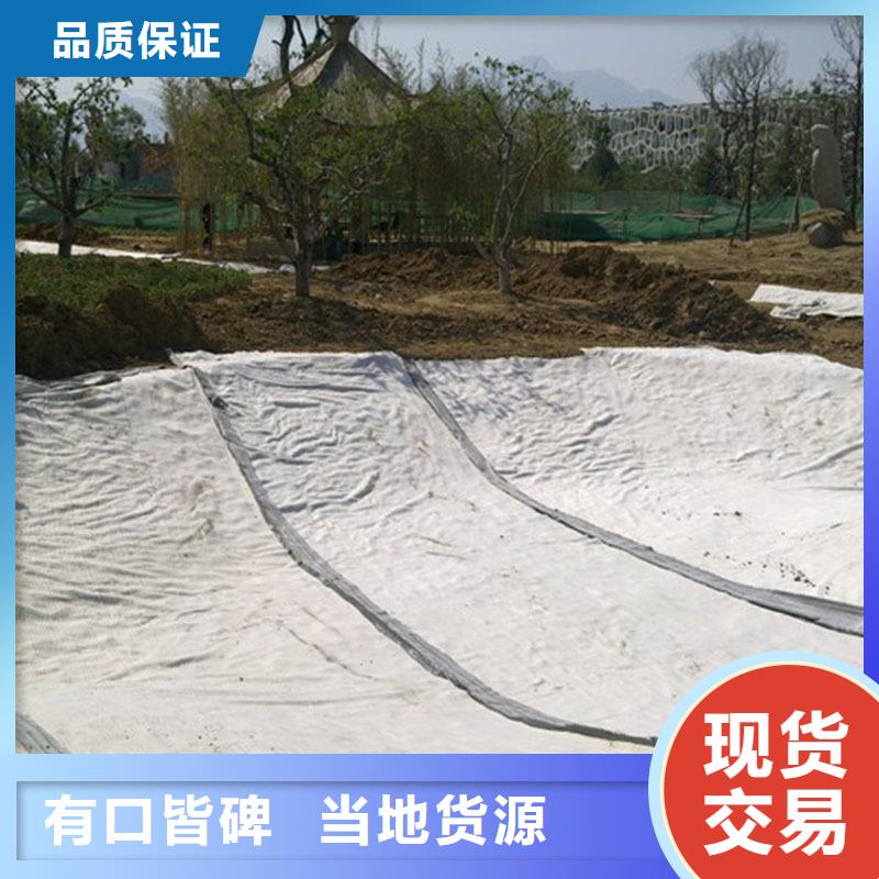 【防水毯-玻璃纤维土工格栅专业生产设备】源厂定制