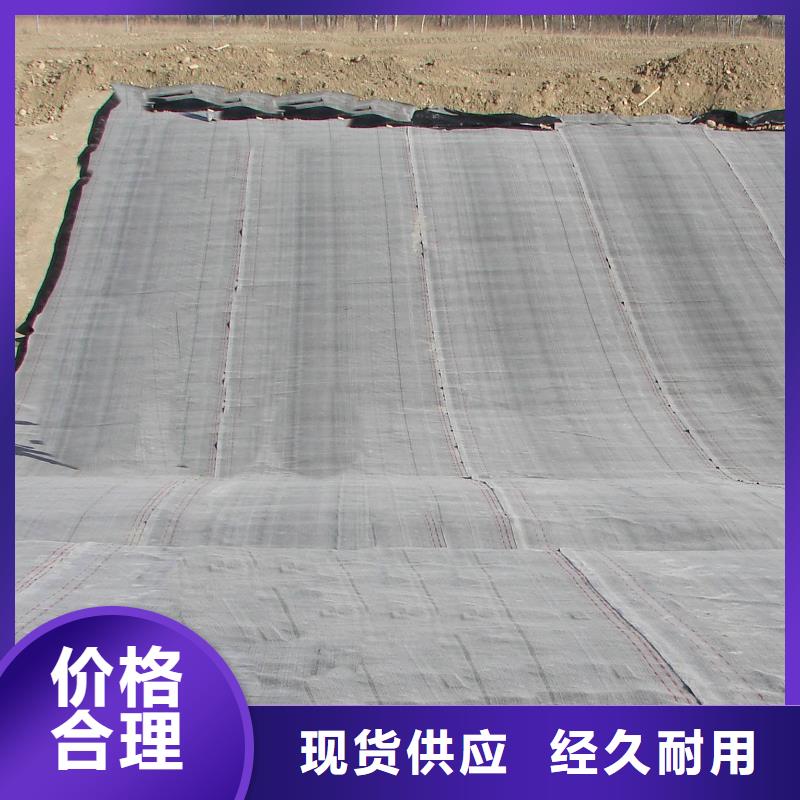 防水毯HDPE土工膜支持定制货品齐全