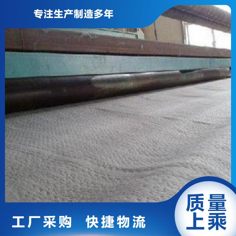 防水毯聚丙烯双拉土工格栅为品质而生产源头厂家