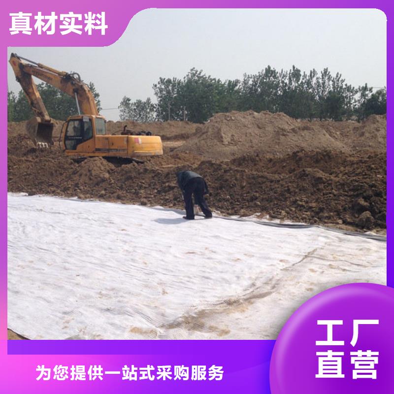 【防水毯】,土工布批发货源稳定工厂自营
