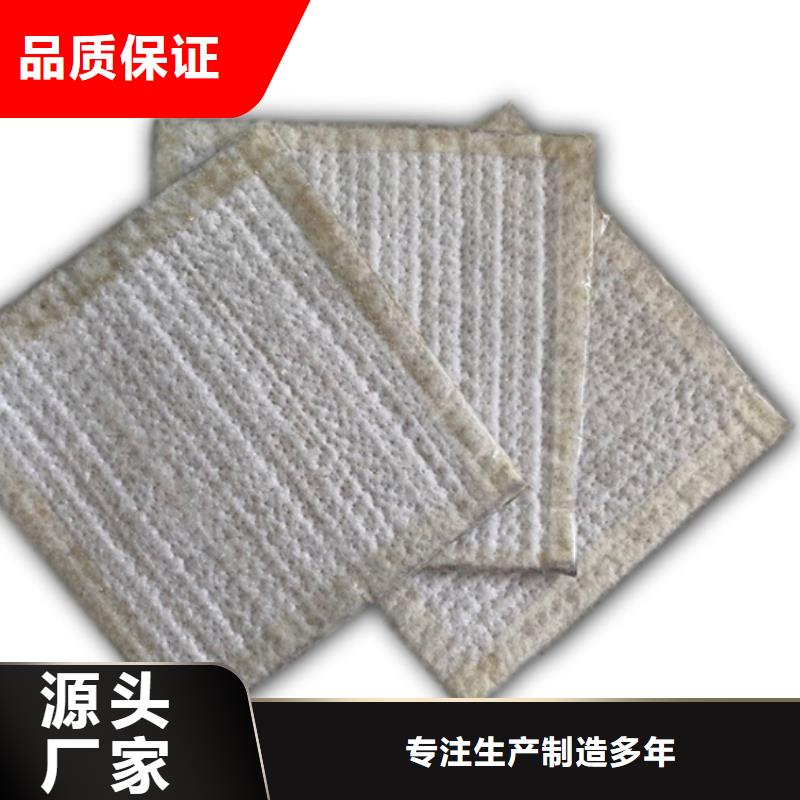 防水毯钢塑土工格栅实拍品质保障当地供应商