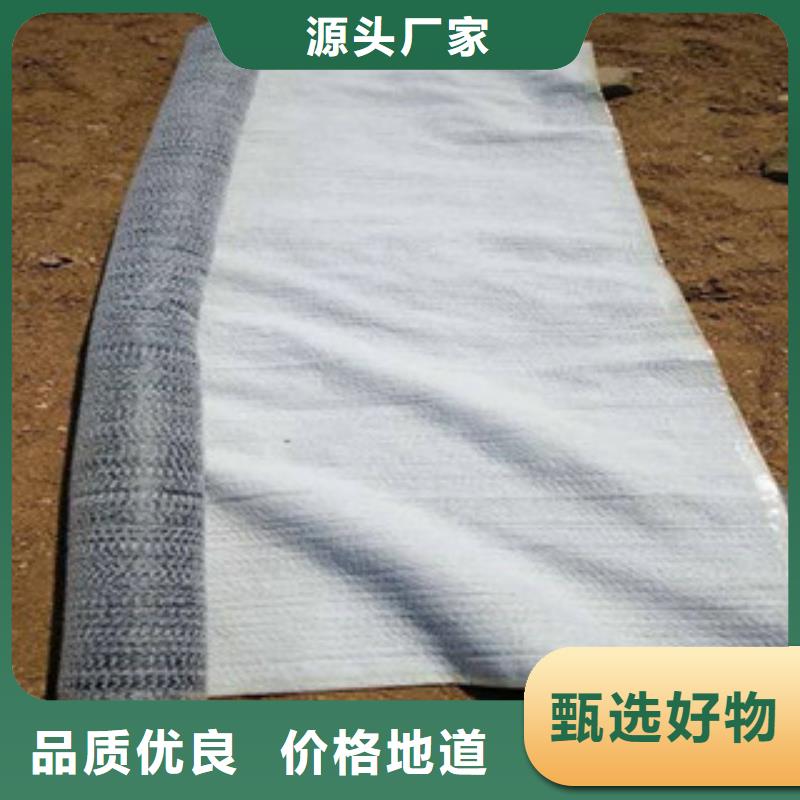 防水毯三维植被网厂家源头工厂附近公司