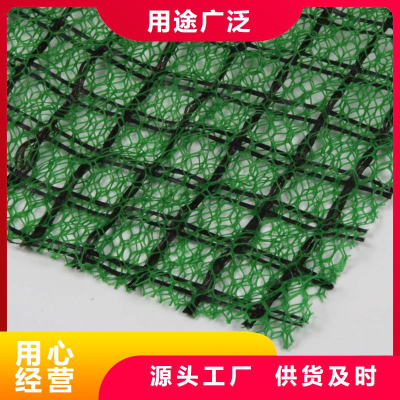 三维植被网玻纤土工格栅资质认证精选货源
