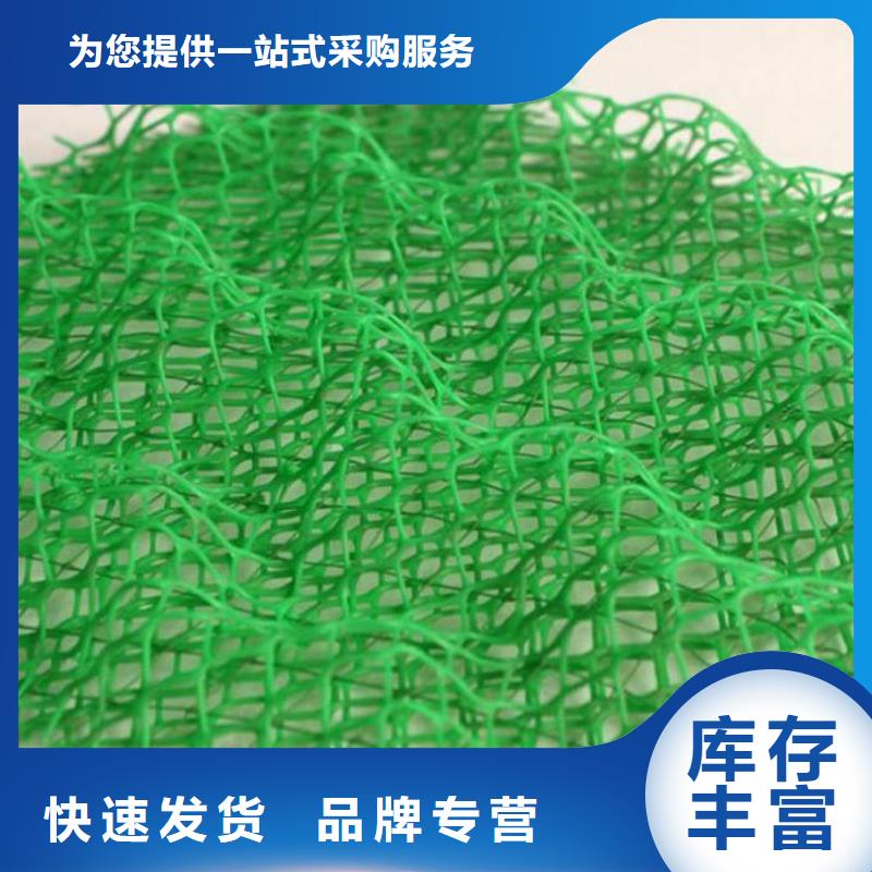 保亭县三维植被网施工图片-可定制生产