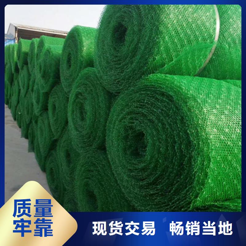 阿里植生毯|三维植被网厂家|椰丝毯|三维抗侵蚀防护毯