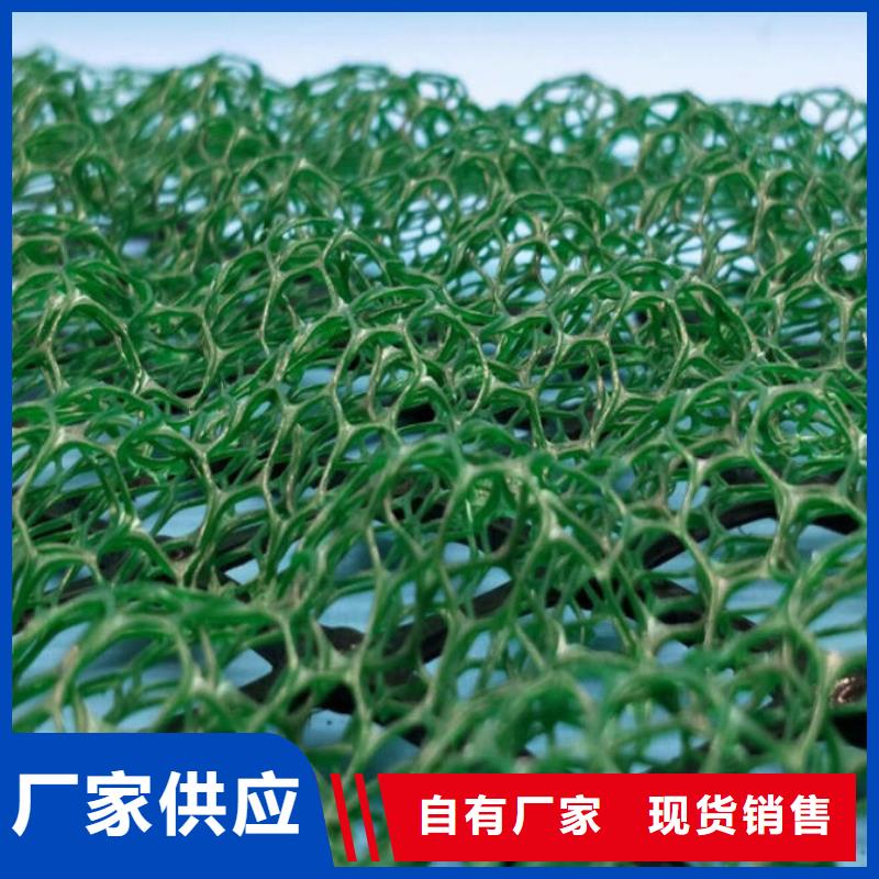 贵阳三维植被网垫-边坡防护-绿化植草网