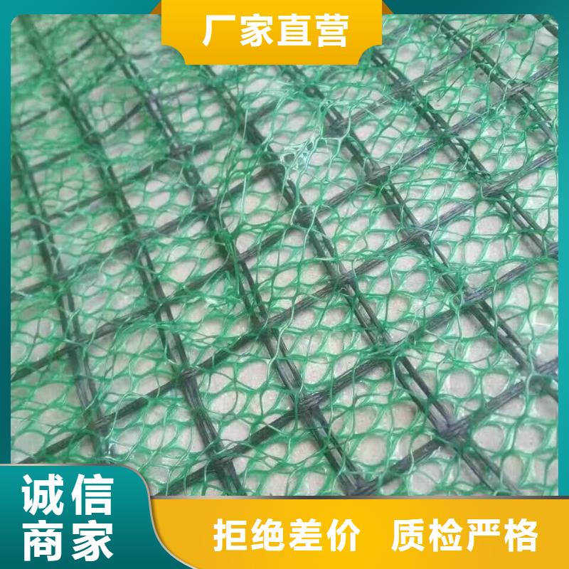 庆阳公路护坡三维植被网批发生产