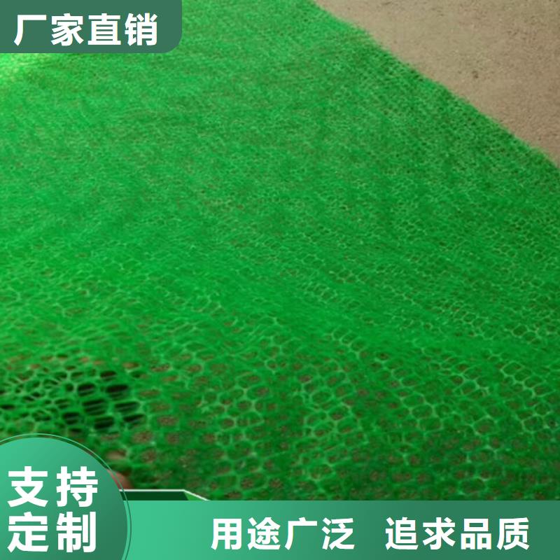 天水EM3三维植被网护坡造价-边坡护坡网