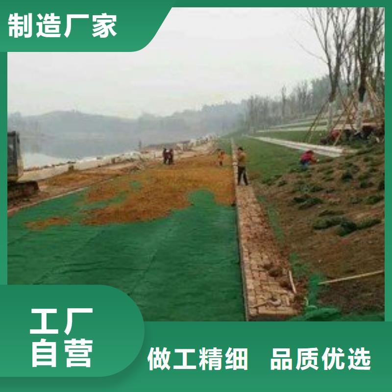 福建三维植被网【三维水土保护毯】应用广泛