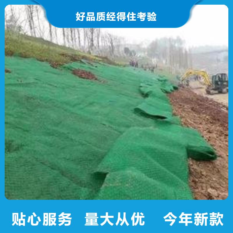 三维植被网,HDPE土工膜品质保证制造生产销售