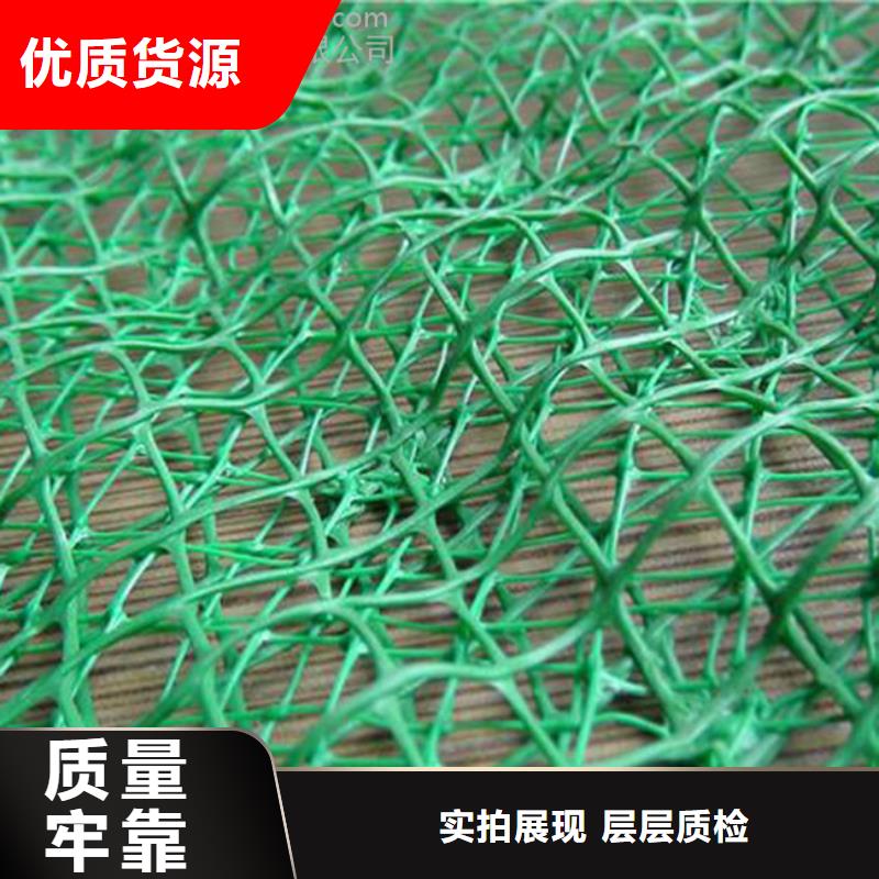 张掖三维植被网|三维网垫植草护坡|三维土工网垫厂家哪家好？