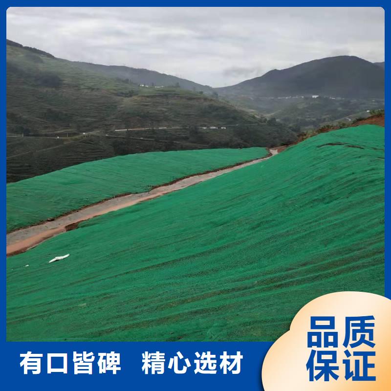 重庆三维植被网钢塑土工格栅厂家欢迎来厂考察