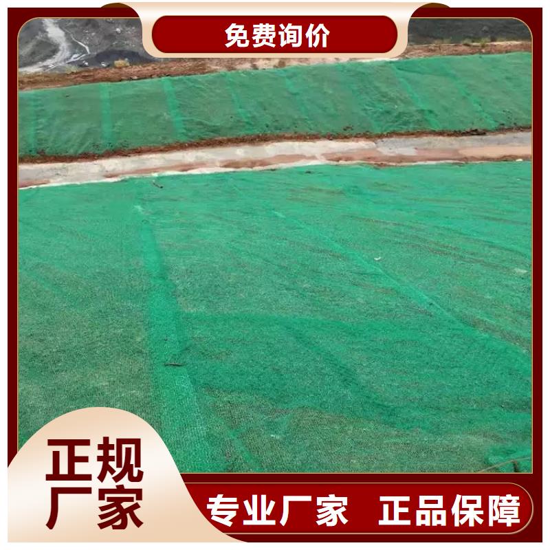 滨州三维植被网|三维网垫植草护坡|三维土工网垫厂家哪家好？