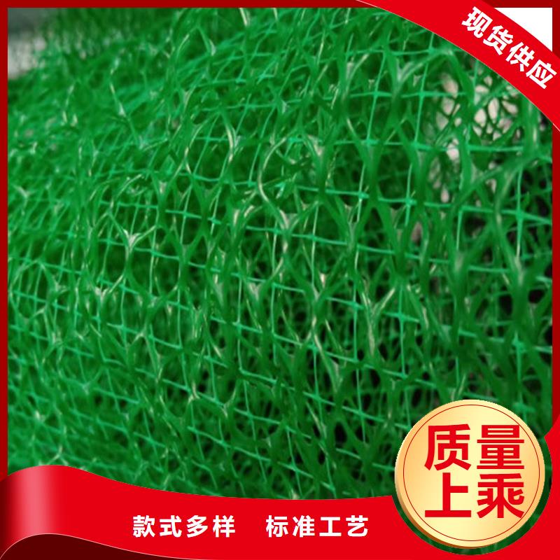 菏泽三维土工网垫价格信息-三维土工网垫生产厂家