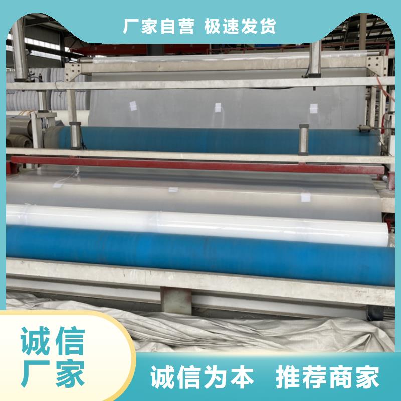 上海EVA防水板,短丝土工布颜色尺寸款式定制
