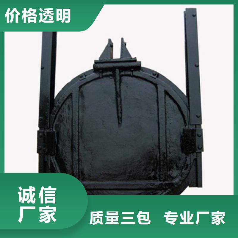 萍乡泵站铸铁闸门支持定制
