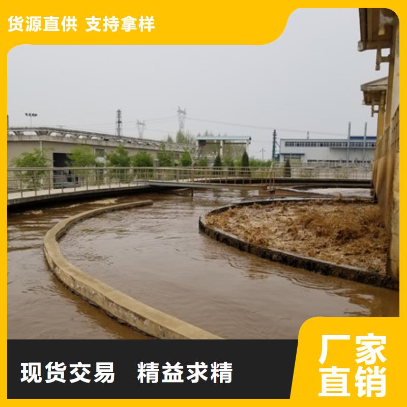 沧州市洗砂水处理药剂售后完善同城公司