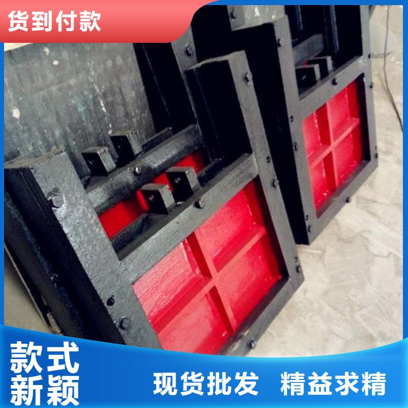 六安2米×2米铸铁闸门  推荐厂家