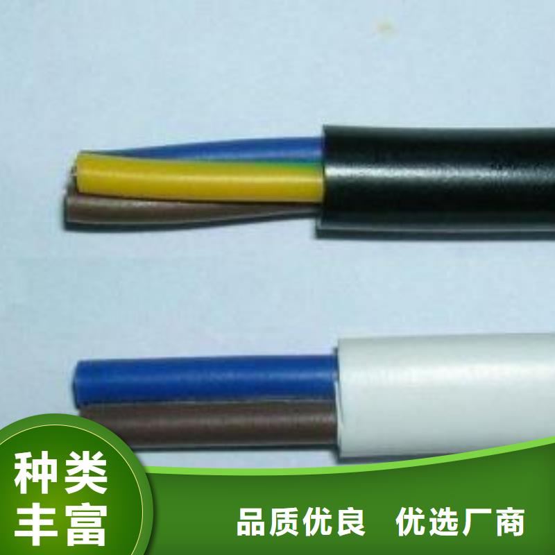 揭阳WDZN-YJV42电缆电缆销售部