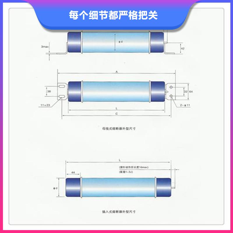 XRNM-3.6/100A高压熔断器广州