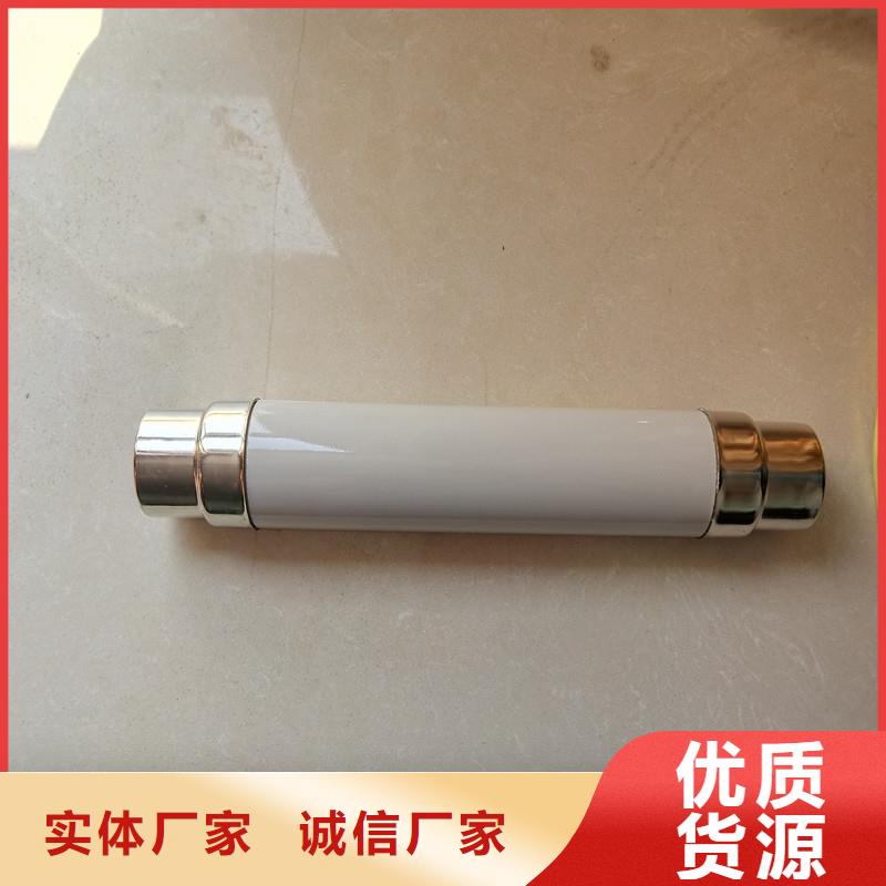 RNK-6/0.5A双管限流熔断器杭州
