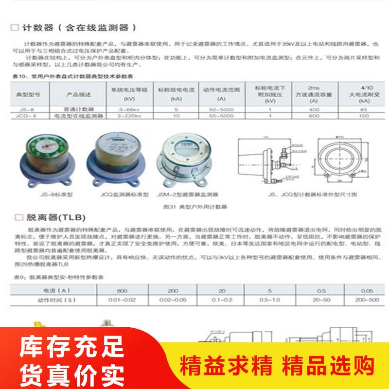 计数器氧化锌避雷器销售可定制附近生产商
