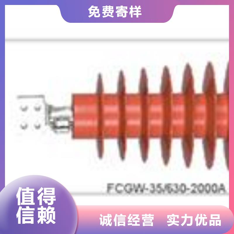 乐山FCGW-40.5/630A高压穿墙套管