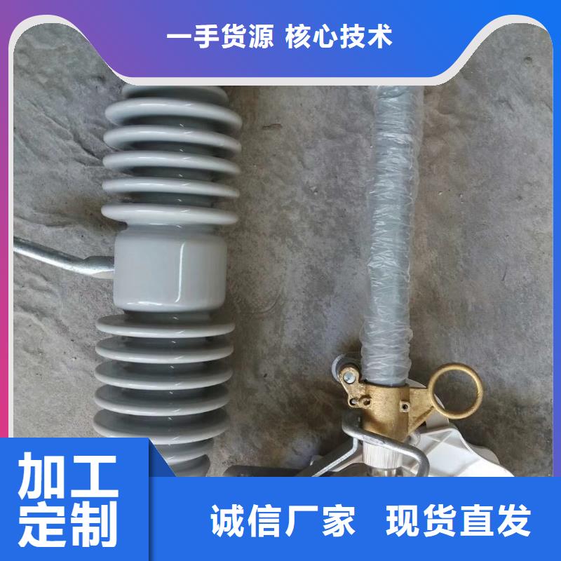 HPRWG2-35/100A高压熔断器琼中县