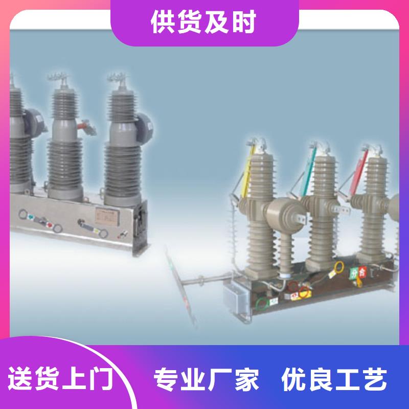 贵阳ZWM9-12/630-20型永磁真空断路器厂家