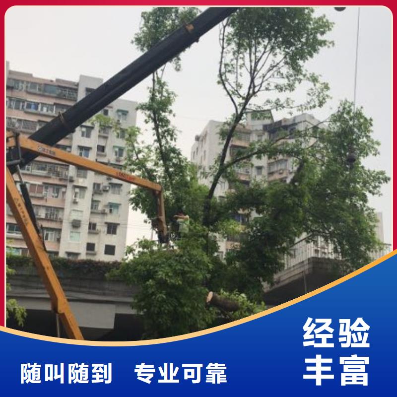 广东18米曲臂升降机出租公司哪家强?
