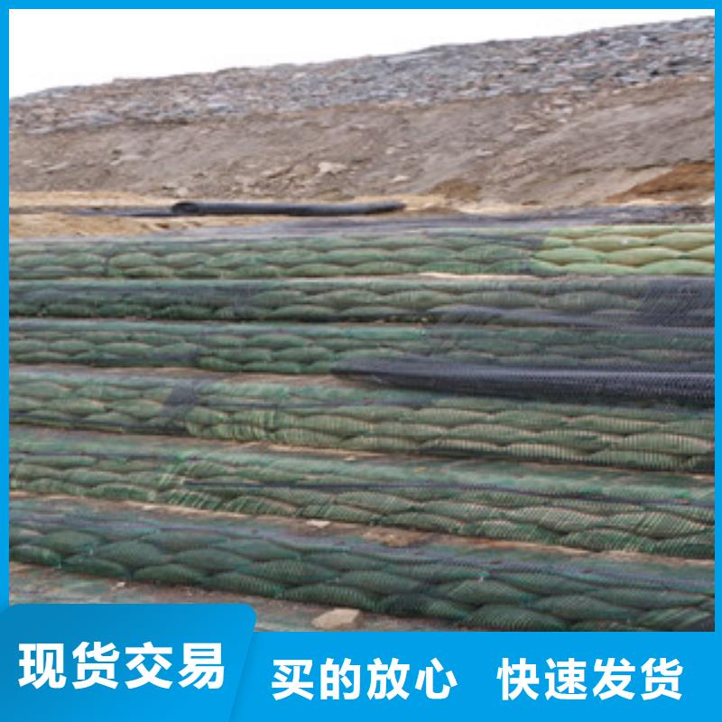 南丹县单向塑料土工格栅价格集团公司48小时发货