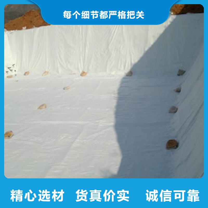 【土工布】膨润土防水毯正规厂家市场行情