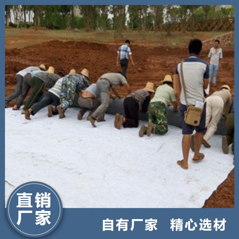 膨润土防水毯高强度土工网本地配送当地供应商