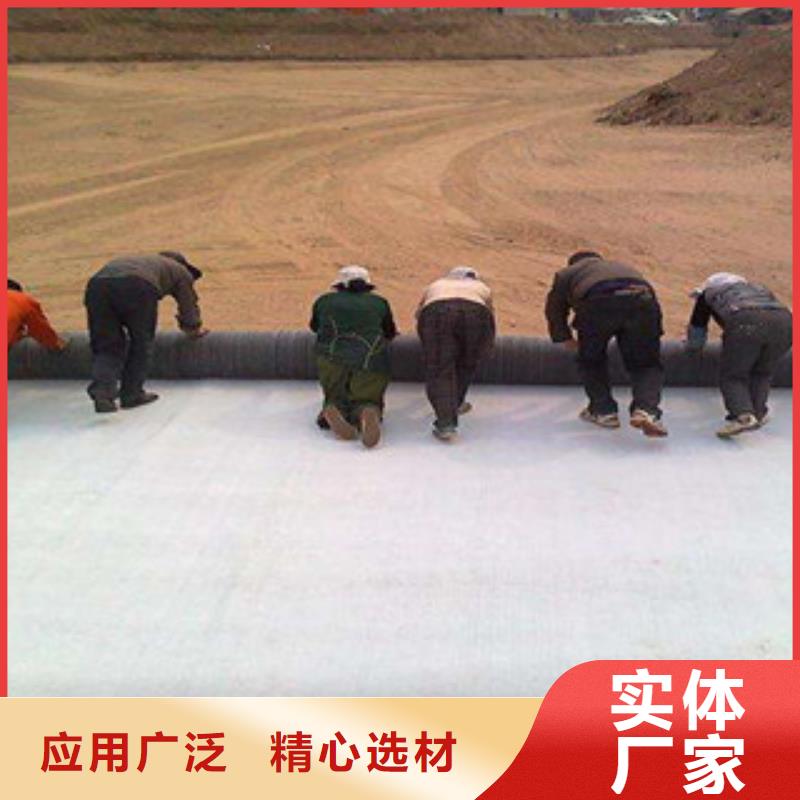【膨润土防水毯】高强度土工网产地货源工厂认证